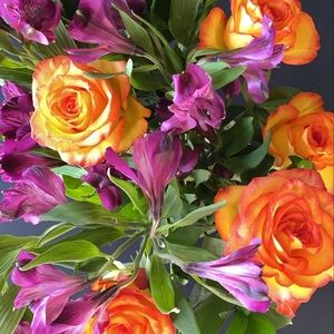 Meet your Posher, Kendall